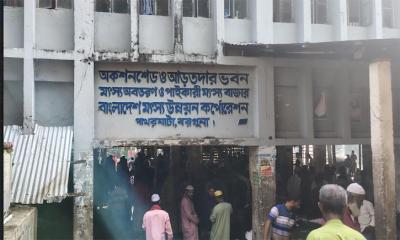 ইলিশের আশায় সাগরে, হতাশা নিয়ে ঘাটে ফিরছেন জেলেরা
