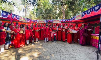 নড়াইলে নবান্ন উৎসবে দেশি পিঠার সমাহার