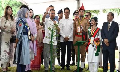 শিক্ষার্থীদের প্রতি বছর একটি করে গাছ লাগানোর আহ্বান প্রধানমন্ত্রীর