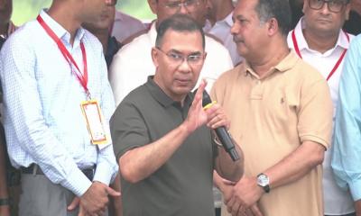 সারাদেশে ২৫ কোটি গাছ লাগাবে সরকার: প্রধানমন্ত্রী