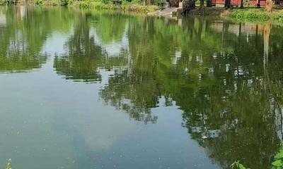 ঈদে নানার বাড়ি বেড়াতে এসে পানিতে ডুবে ভাই-বোনের মৃত্যু