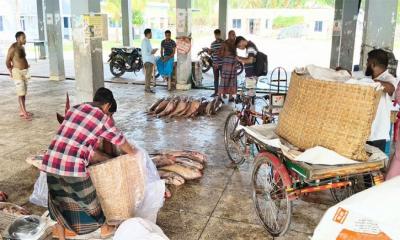 সাগরে ধরা ১৮০ পিস লাক্ষা মাছ, বিক্রি ৪০ লাখ টাকায়