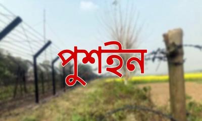 পুশইনের শিকার ভারতীয় গর্ভবতী নারীসহ ৬ জনকে জামিন