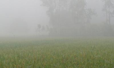 শীত শুরু, কুয়াশায় ঢাকা পড়ছে চারদিক