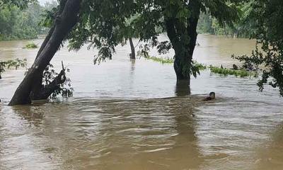 নতুন করে প্লাবিত হচ্ছে ছাগলনাইয়া, আশ্রয়কেন্দ্রে ৭ হাজার মানুষ