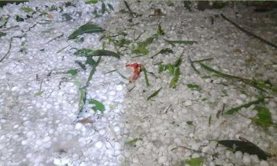 এমন শিলাবৃষ্টি এর আগে দেখেনি নীলফামারীবাসী