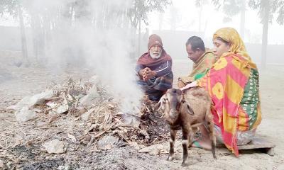কুড়িগ্রামে শীতের চাপ বাড়ায় ভোগান্তিতে দিনমজুর ও শ্রমজীবী মানুষরা
