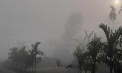 তেঁতুলিয়ায় তীব্রতর হচ্ছে শীত, তাপমাত্রা নেমে ১১.৭ ডিগ্রি