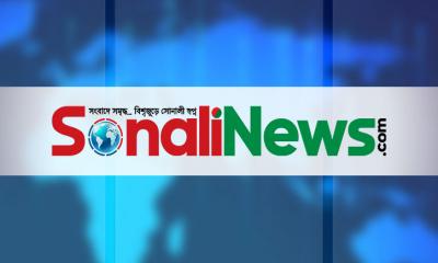 নিবন্ধন সনদ পেল সোনালীনিউজ