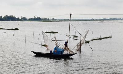 চলনবিলের নদী ইজারা দিল মসজিদ কমিটি