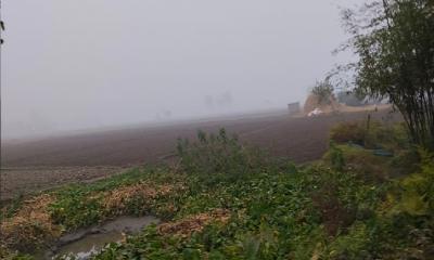 পঞ্চগড়ে শীতের তীব্রতা বাড়ছেই, তাপমাত্রা ১১ দশমিক ৬ ডিগ্রির ঘরে