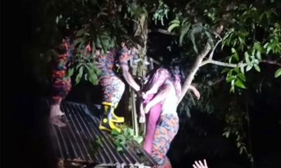 রাতে আমগাছ থেকে তরুণীকে উদ্ধার করল ফায়ার সার্ভিস