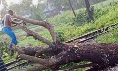 ঝড়ে গাছ ভেঙে পড়ায় নোয়াখালী-ঢাকা ট্রেন চলাচল বন্ধ