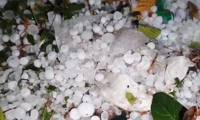 শৈত্যপ্রবাহের সঙ্গে শিলাবৃষ্টির বার্তা দিল আবহাওয়া অফিস