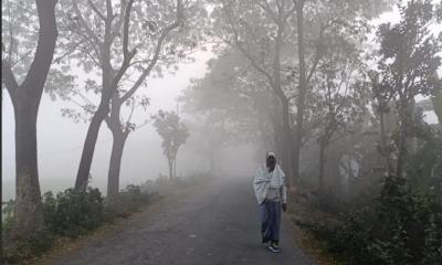 দেশের যেসব জেলায় বইছে শৈত্যপ্রবাহ, তাপমাত্রা নিয়ে এলো সুখবর