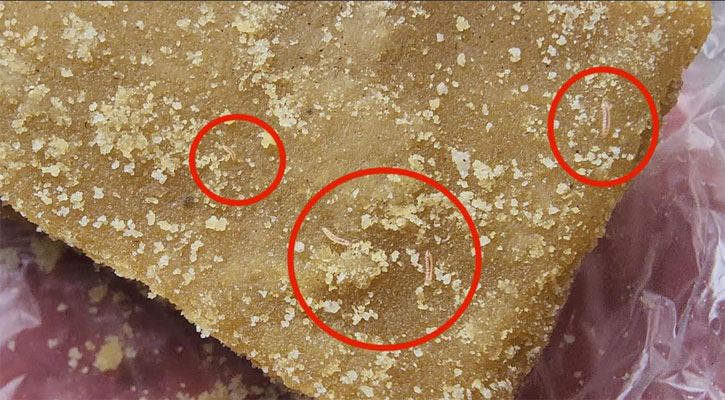 পোকাযুক্ত গুড় ও ভেজাল খাদ্য বিক্রি, ব্যবসায়ীকে ২ লাখ টাকা জরিমানা