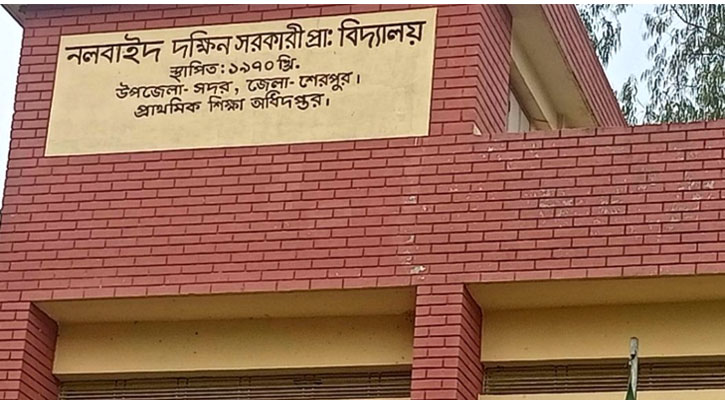 শেরপুরে ব্যালট ছিনতাই, ধানের শীষে সিল মারার পর উদ্ধার