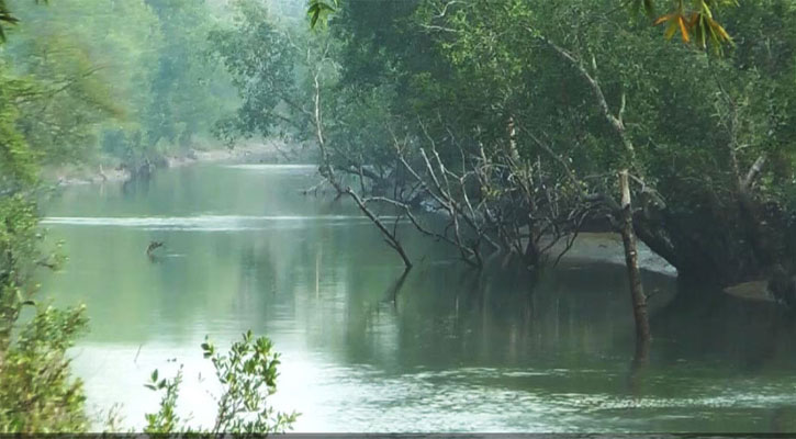 তিনমাস পর খুলে দেওয়া হচ্ছে সুন্দরবন