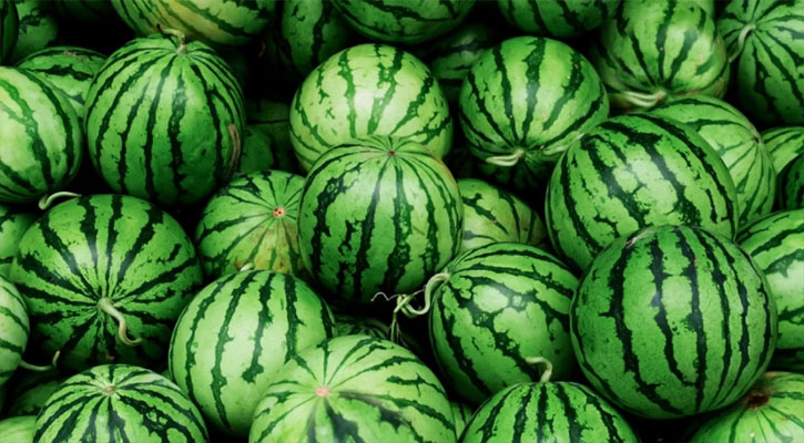 তরমুজ কেজি দরে বিক্রি করা যাবে না
