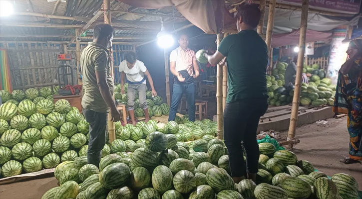 তরমুজের দাম অর্ধেক তবুও নেই ক্রেতা
