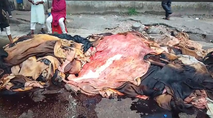 সাভার শিল্পনগরীতে প্রবেশ করেছে ৫ লাখের বেশি চামড়া