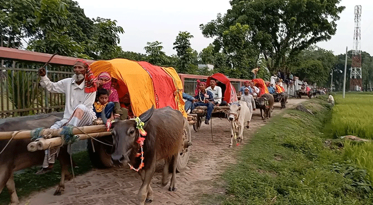 বাবার ইচ্ছে পূরণে করতে গরু-মহিষের গাড়িতে বরযাত্রা
