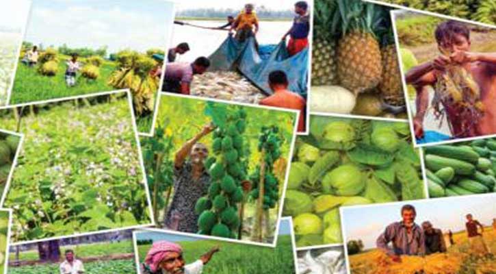 ২২ ফসল উৎপাদনে শীর্ষ দশে বাংলাদেশ