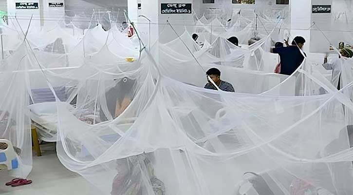 ডেঙ্গুতে আরো ৭ জনের মৃত্যু, হাসপাতালে ভর্তি ৮৭৭