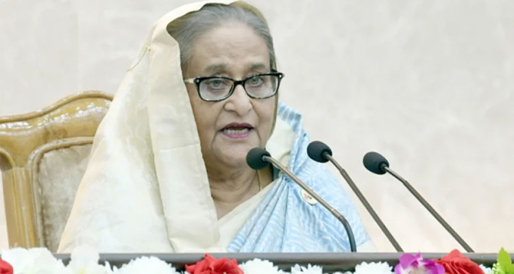 বহির্বিশ্বের চাপ আমাদের ওপর এসে পড়ছে: প্রধানমন্ত্রী