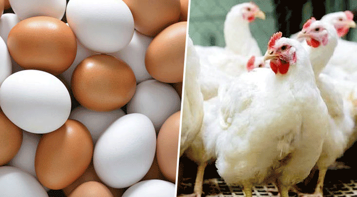 রোজার আগেই বাড়ছে ডিম ও মুরগির দাম