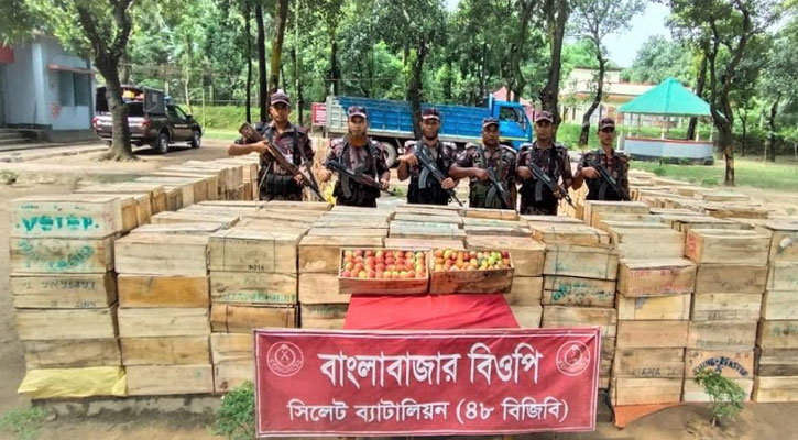 সুনামগঞ্জে ৫ হাজার ৭০০ কেজি ভারতীয় আপেলসহ ট্রাক আটক