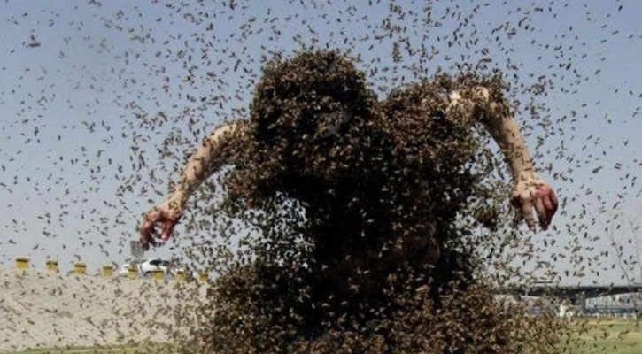 ফরিদপুরে মৌমাছির কামড়ে প্রাণ গেল যুবকের