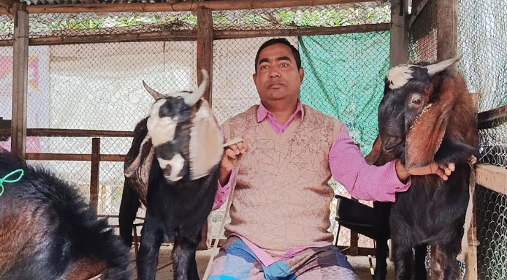 একটি গাভী থেকে এখন ৫০ লাখ টাকার মালিক বাবলু খন্দকার