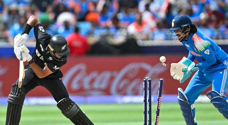 ভারতকে ২৫২ রানের লক্ষ্য দিল নিউজিল্যান্ড