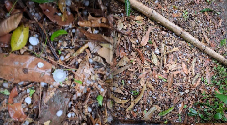 ঈশ্বরদীতে হঠাৎ মৌসুমের প্রথম শিলাবৃষ্টি, চাষীরা বলছেন আশীর্বাদ