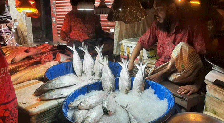 দাম কমলেও এখনো নাগালের বাইরে ইলিশ