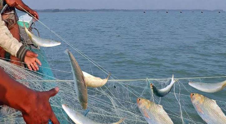 বঙ্গোপসাগরে মাছ ধরায় আসছে নিষেধাজ্ঞা