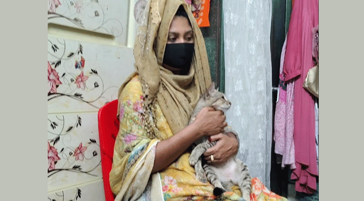 ১০০ দিন পর সন্ধান মিলল হারানো বিড়ালের, দেয়া হল পুরস্কার