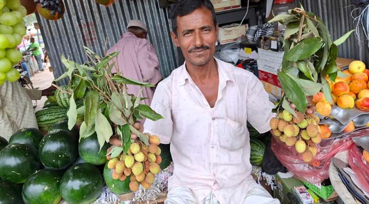 ঈশ্বরদীতে উঠছে অপরিপক্ক লিচু, তবুও বিক্রি হচ্ছে চড়া দামে