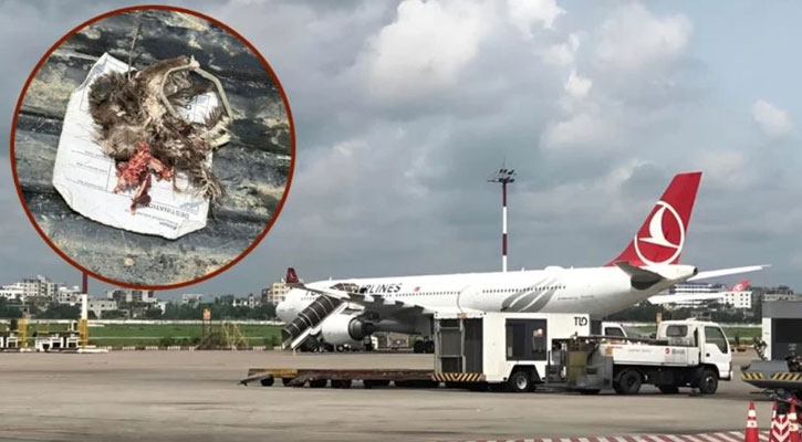 কী ঘটেছিল তার্কিশ বিমানটিতে