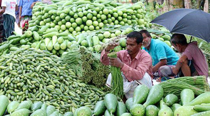 বন্যার শঙ্কায় বাজারে আগাম সবজি, দামও কম