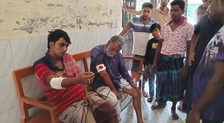 কৃষকের দুই গরু জবাই করে পিকনিক, ৮ কৃষককে পিটিয়ে আহত