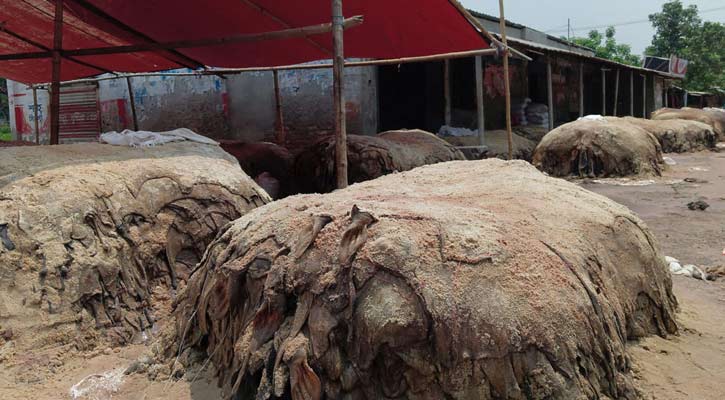 রাজশাহীতে খোলা আকাশের নিচে চামড়া রাখায় দুর্গন্ধে অতিষ্ঠ এলাকাবাসী 