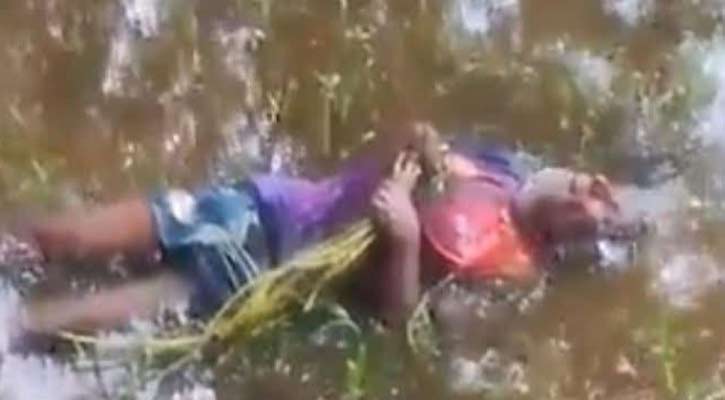 সুবর্ণচরে কচুর লতি তুলতে গিয়ে বিদ্যুৎস্পৃষ্টে একজনের মৃত্যু