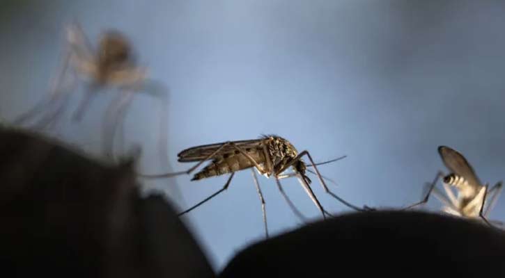 রাজশাহী হাসপাতালে ডেঙ্গুতে নারীর মৃত্যু