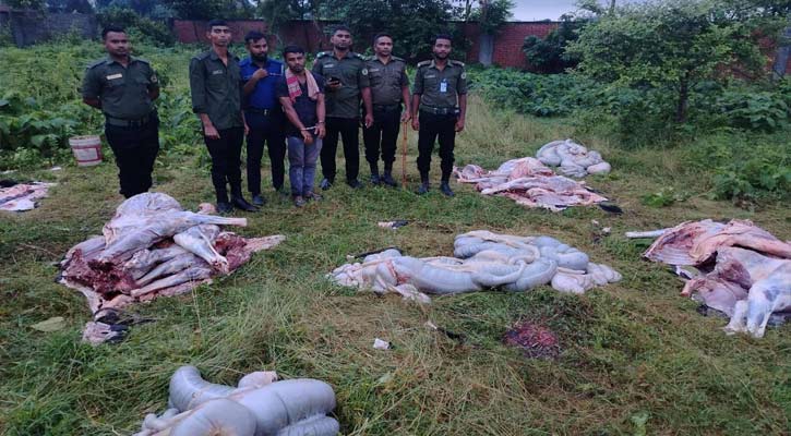 পূর্বাচলে জবাইকৃত ৫টি ঘোড়ার মাংস উদ্ধার, আটক  ১