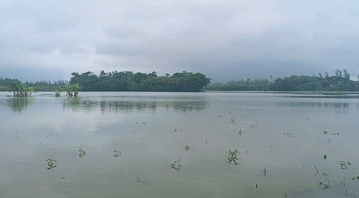 ২১ জেলায় পানির নিচে ৭২ হাজার হেক্টর জমির ফসল
