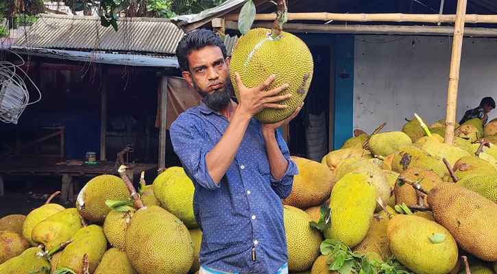 জয়নগরে বাগান ও হাটে ভরপুর কাঁঠাল, দাম নিয়ে হতাশ কৃষকরা