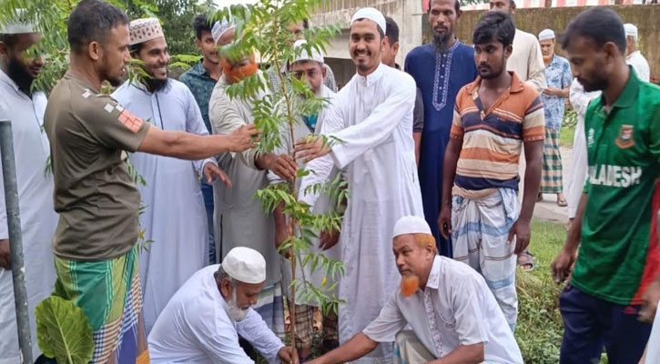 কাঁঠালিয়ায় নিম গাছের চারা রোপন করে দৃষ্টান্ত স্থাপন করলেন তালগাছিয়া মাদ্রাসা