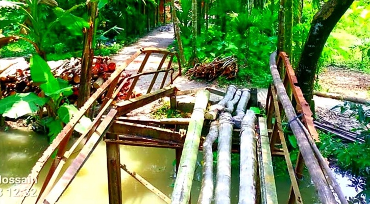 রাজাপুরে ব্রিজের বেহাল দশা, চরম দুর্ভোগে এলাকাবাসী